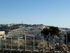 P1000881
